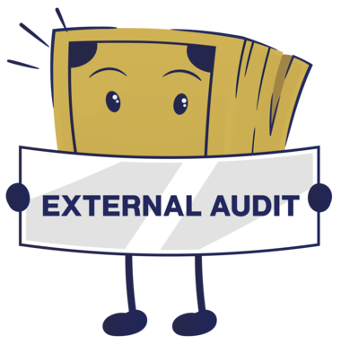 Types of Audit Services - External