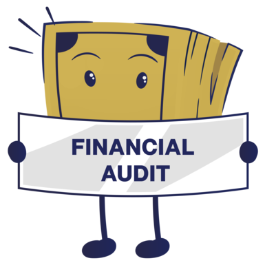 Types of Audit Services - Financial