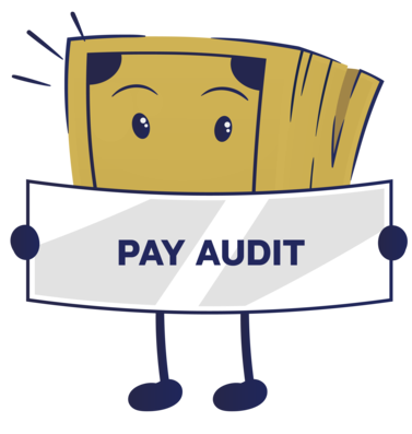 Types of Audit Services - Pay