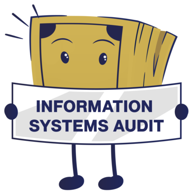 Types of Audit Services - information systems