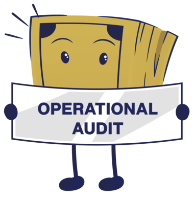 Types of Audit Services - operational