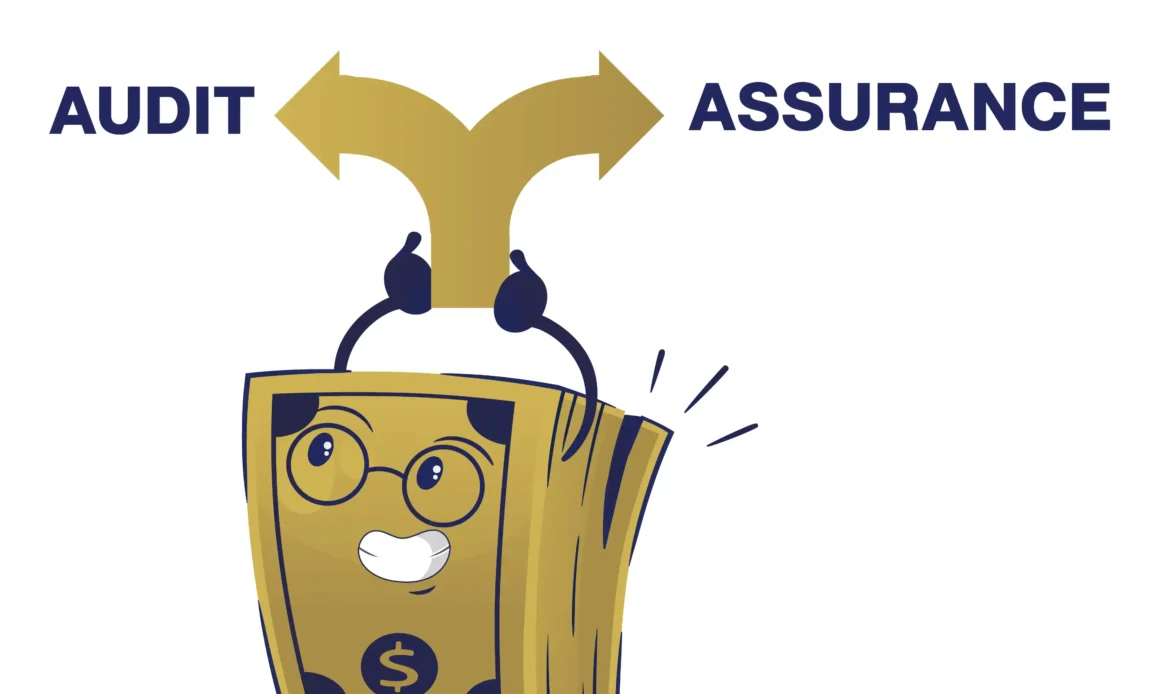 Audit and assurance differences