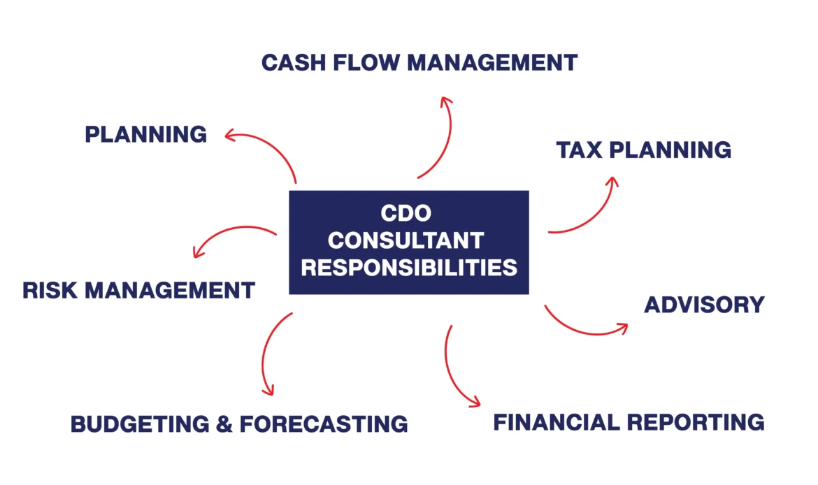 CFO Consulting Responsibilities