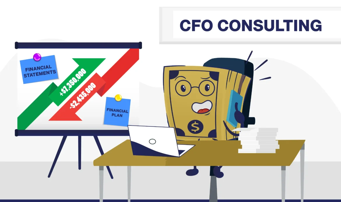 CFO Consulting Noraal