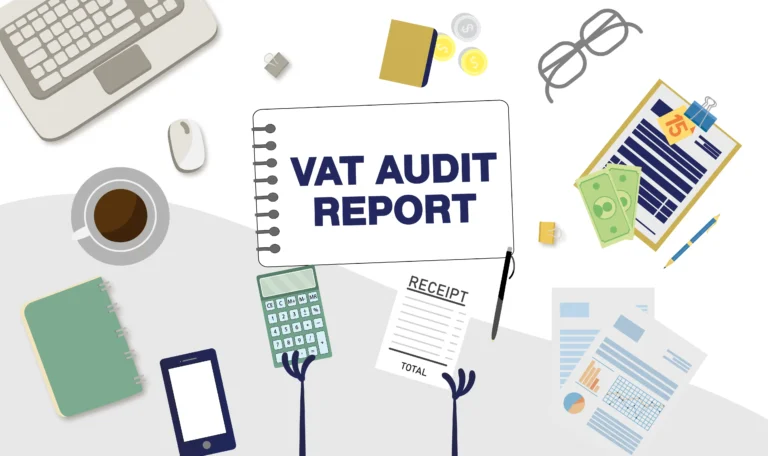 VAT Audit Report